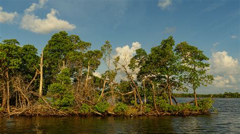 Annual Members’ Meeting 2023 | Conservancy of Southwest Florida