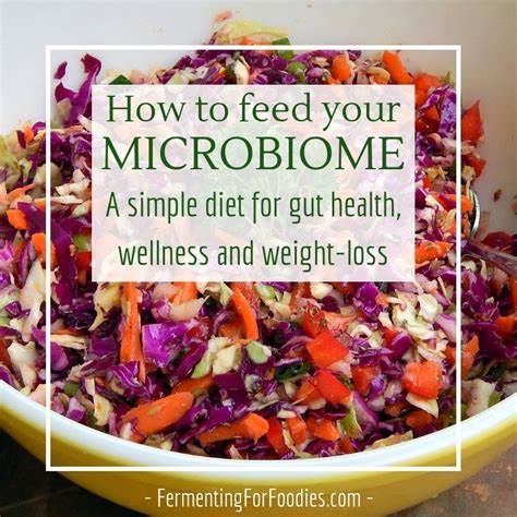 Microbiome Diet - Fermenting for Foodies