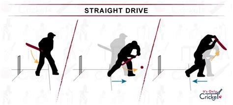 Learn 8 Basic Cricket Shots: How to Play as a Beginner