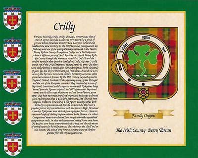 IRISH COUNTY TARTAN & SURNAME HISTORY PRINT 10" x 8" & FREE GIFT New designs | eBay