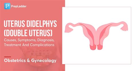 Uterus Didelphys Pictures