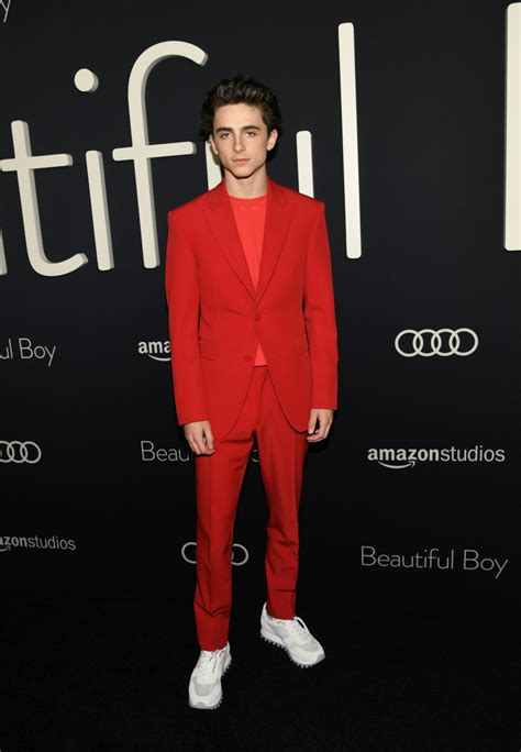 Here Is Timothée Chalamet in a Very Good Red Louis Vuitton Suit ...