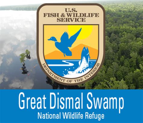 Great Dismal Swamp National Wildlife Refuge