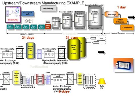 PPT - Downstream Processing PowerPoint Presentation, free download - ID:3385816