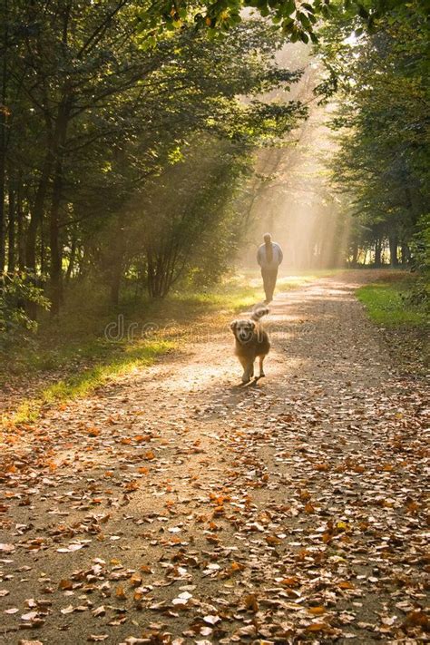 beautiful places to walk dogs near me - Delicia Simpkins