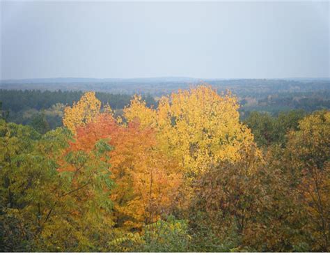 Fall in Wisconsin | Things to Do in North Central Wisconsin