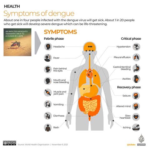 Why you need to worry about dengue fever - Jodi Ettenberg