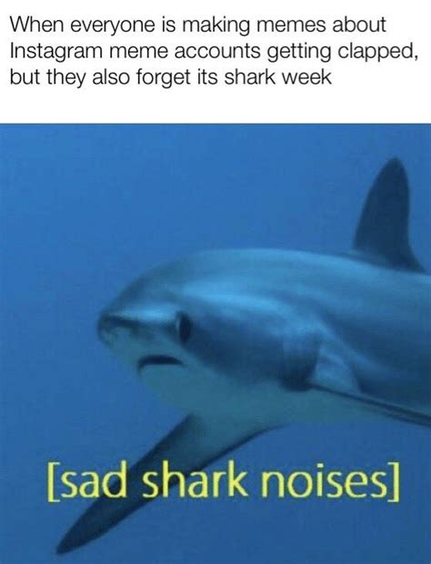 Sad shark hours | r/dankmemes | Shark Week | Know Your Meme