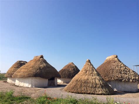 Neolithic houses, and much more, at Stonehenge