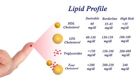 LDL-Cholesterol – The “Bad” Cholesterol Explained | Cholesterol, Ldl cholesterol, Lower ldl ...