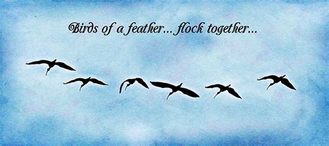 Birds Of A Feather Flock Together Photograph by Cathy Lindsey - Fine Art America