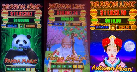 Dragon Link Slot Machine #1 Reason for Exploring the Excitement of