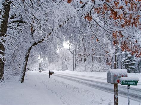 Michigan winter, usa, snow, nature, michigan, winter, HD wallpaper | Peakpx