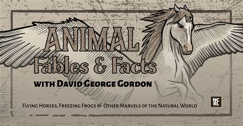 Animals, Fables, & Facts, Oh My! » NCW Libraries