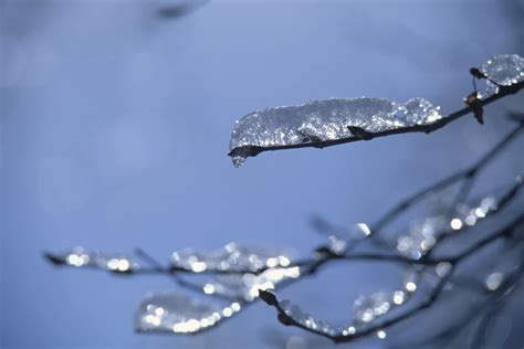 The Science Behind Wyoming's Sub Zero Temperatures