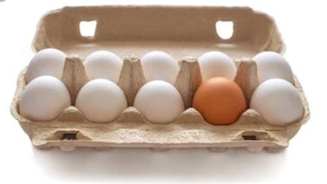 Petition · Rid Styrofoam egg cartons from the grocery stores - United ...