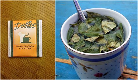 Coca tea - A traditional remedy from the Andes - Outdoor Revival