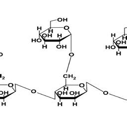 Fenugreek galactomannan structure. | Download Scientific Diagram