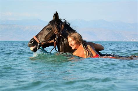 Swimming with Horses - Activities