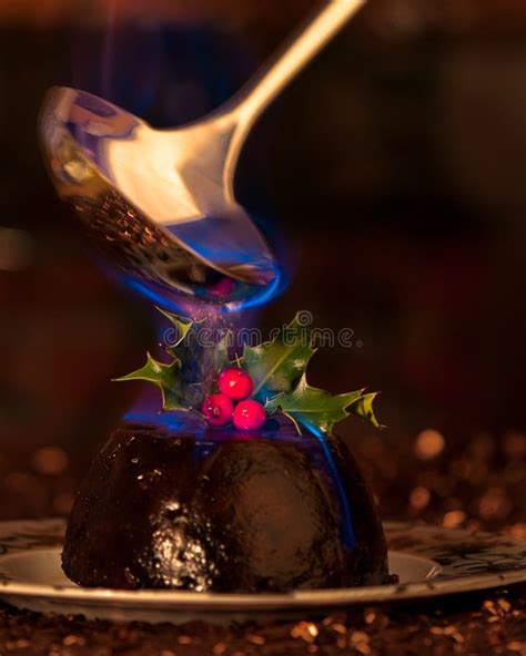 Flaming Christmas Pudding stock photo. Image of spirit - 11612534