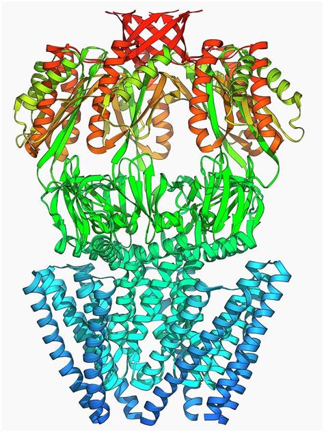 Mscs Ion Channel Protein Structure Photograph by Laguna Design/science ...