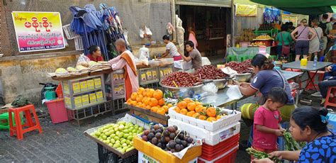 Photo report: Traditional agriculture in Myanmar (Burma) - Horti Generation