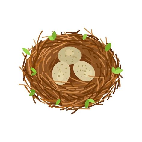 Bird's Nest with Three Eggs
