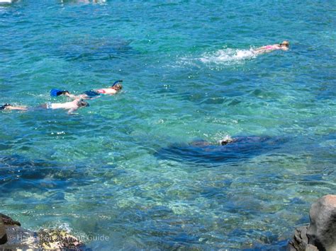 Kapalua Bay Snorkeling Secrets! The Complete Guide to Maui Snorkeling!