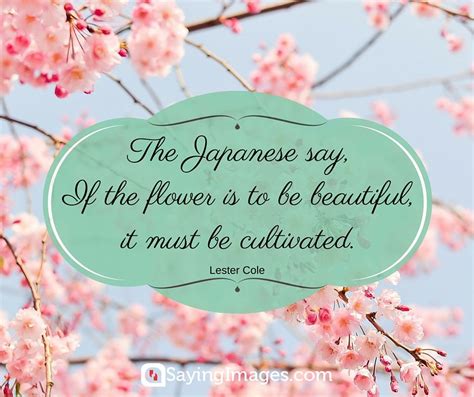 35 Beautiful Flower Quotes to Celebrate Life, Hope, and Love - SayingImages.com | Blogger, Deutsche