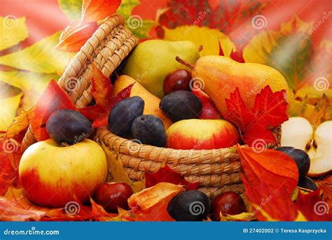 Basket of autumn fruits stock photo. Image of arranged - 27402002