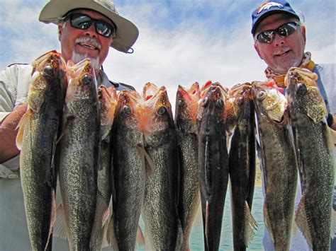 Colorado Fishing Report Walleye Fishing