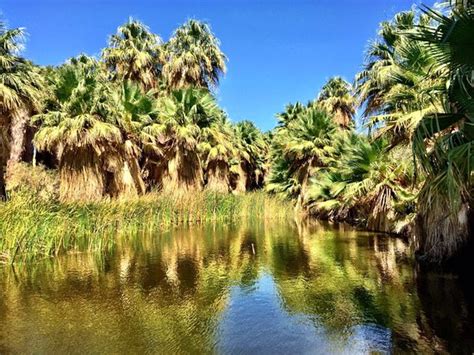 THE 15 BEST Things to Do in Palm Springs - UPDATED 2019 - Must See ...