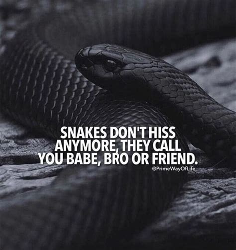 Collection : +27 Snakes Quotes and Sayings with Images