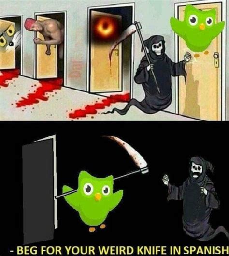 Duolingo Memes: 40 Mildly Threatening Gems