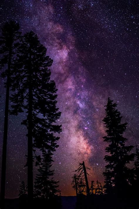 Milky Way in Forest | Night sky wallpaper, Night sky photography, Beautiful night sky