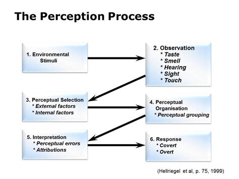 Acts of Leadership: The perception process