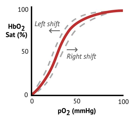 Oxygen Saturation | Respiratory Exam - MedSchool