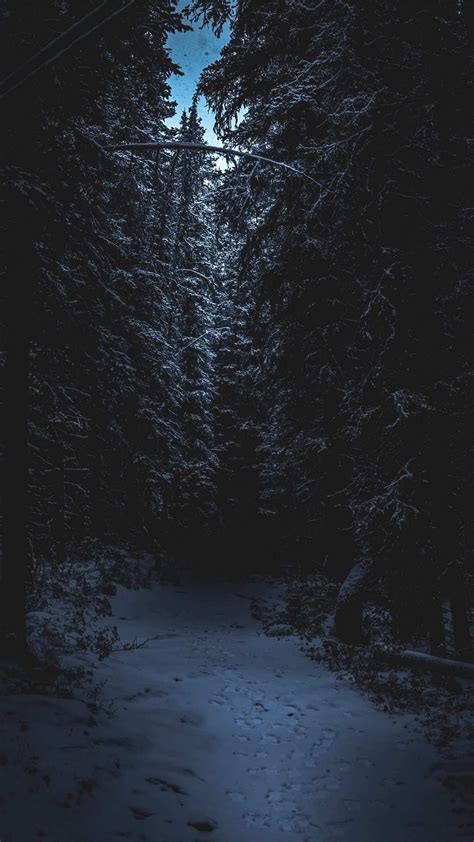 Dark Winter Night Wallpaper