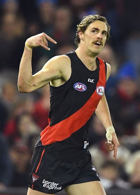 Season review: Essendon - AFL.com.au