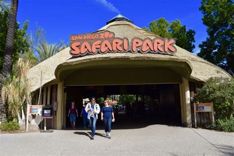 San Diego Zoo Safari Park Tips