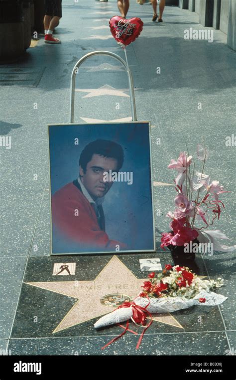 Elvis Presley's Star on the Walk of Fame - Hollywood Stock Photo - Alamy