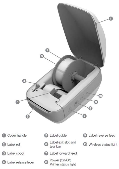 How to set up dymo label printer - assistantlasopa