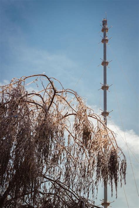 Obninsk Weather Tower in the Background Stock Photo - Image of ...