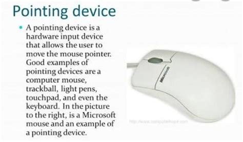 what is pointing device?????? - Brainly.in