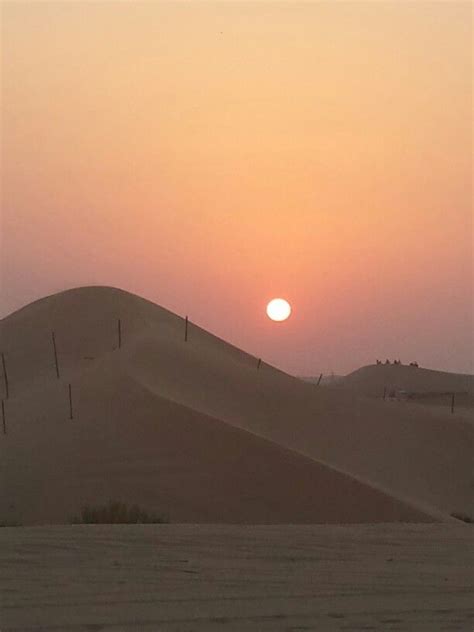 Sunset abu dhabi desert | Bucket list vacations, Places to go, Sunset