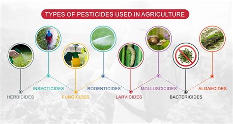 Which Pesticide Types Are Used in Agriculture? – Agri-Route