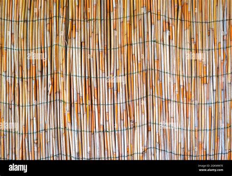 Old bamboo sticks texture, good for background Stock Photo - Alamy