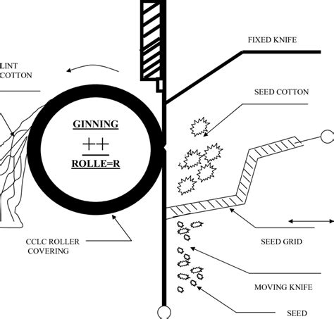 WORKING PRINCIPLE OF THE COTTON ROLLER GINNING PROCESS | Download Scientific Diagram