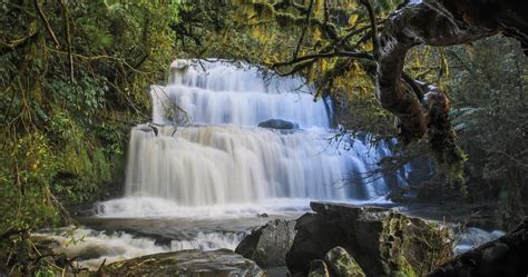 Things to see and do in Owaka, New Zealand