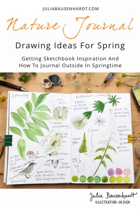 Nature Journaling - Drawing Ideas For Spring | Julia Bausenhardt ...